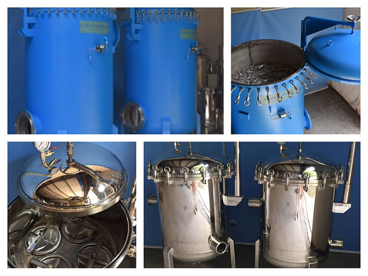 Sus316/304 Multi Bag Stainless Steel Cartridge Filter Housings